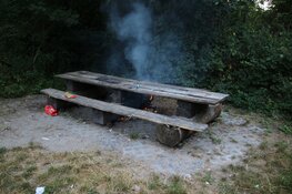 Brandweer rukt uit voor buitenbrand in Waarderhout