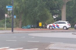 Verwarde man zorgt voor overlast langs drukke weg en wordt aangehouden