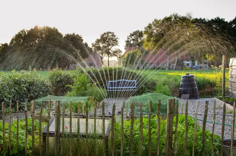 Stijgende temperaturen veranderen de buitenruimte van Noord-Hollanders