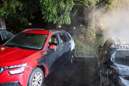 Twee auto's door brand verwoest in Heerhugowaard