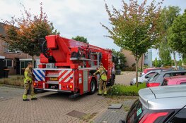 Brandweer redt kat Mili van dak in Heerhugowaard