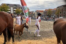 Landbouwdag brengt dieren en traditie naar Alkmaar