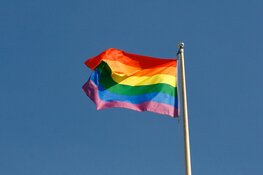 5 – 11 oktober: Diversity Week Dijk en Waard