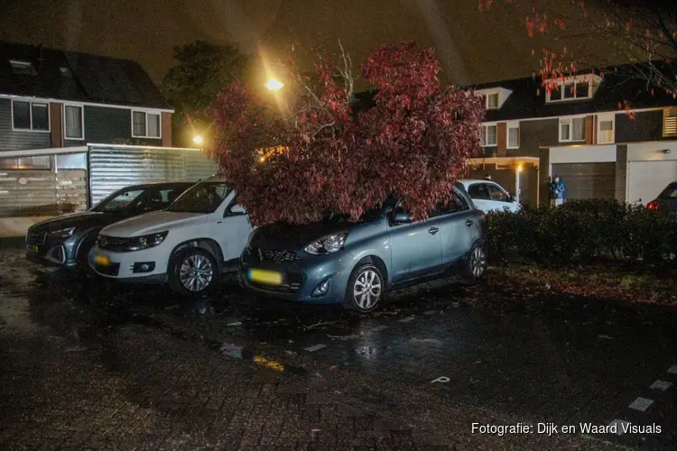 Omgevallen boom belandt op auto door storm Boelo in Heerhugowaard