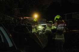 Omgevallen boom belandt op auto door storm Boelo in Heerhugowaard