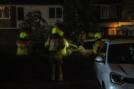 Omgevallen boom belandt op auto door storm Boelo in Heerhugowaard