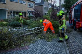 Afgebroken tak valt door storm op auto in Heerhugowaard