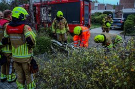 Afgebroken tak valt door storm op auto in Heerhugowaard