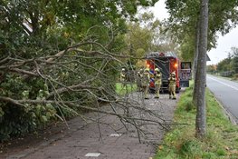 Boom valt om door storm op de Jan Glijnisweg in Heerhugowaard
