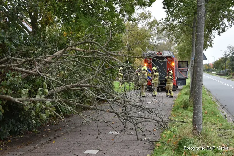 Boom valt om door storm op de Jan Glijnisweg in Heerhugowaard