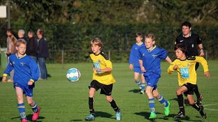 Erwin Blank: ‘de top, is mijn top’