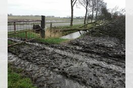 Storm treft Heerhugowaard