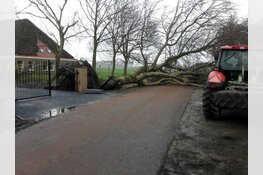 Storm treft Heerhugowaard