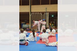 Nederlandse kampioen geeft gastles bij Shotokan Karate Naifanchi Heerhugowaard.